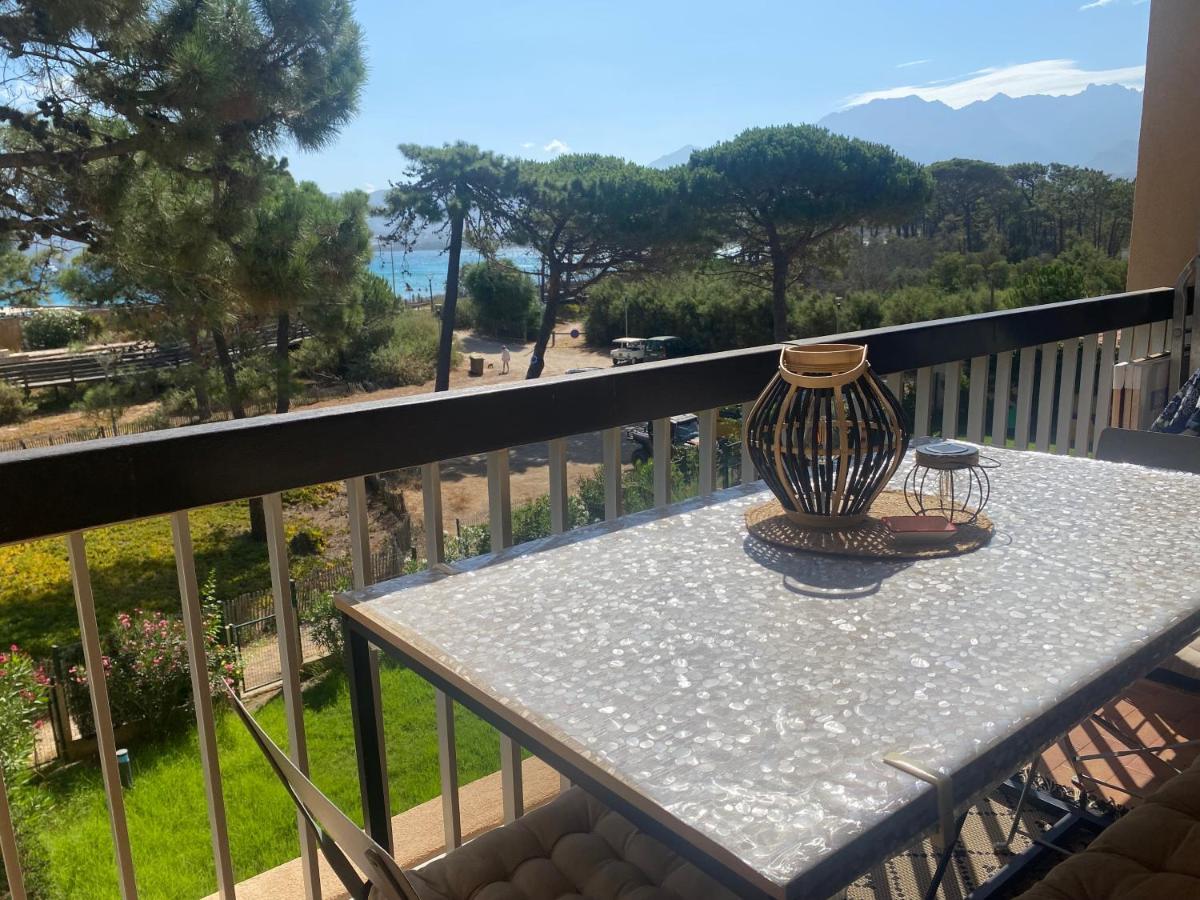 Appartement Ou Studio La Mer & La Plage A Vos Pieds Calvi Calvi  Kültér fotó